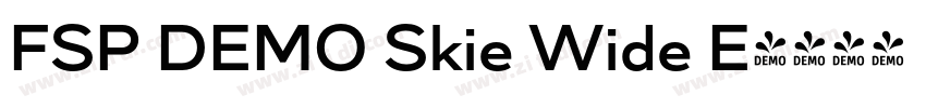 FSP DEMO Skie Wide E字体转换
